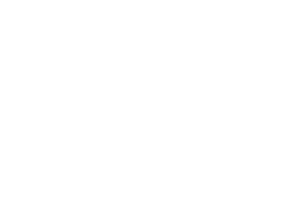 All Natural Logo